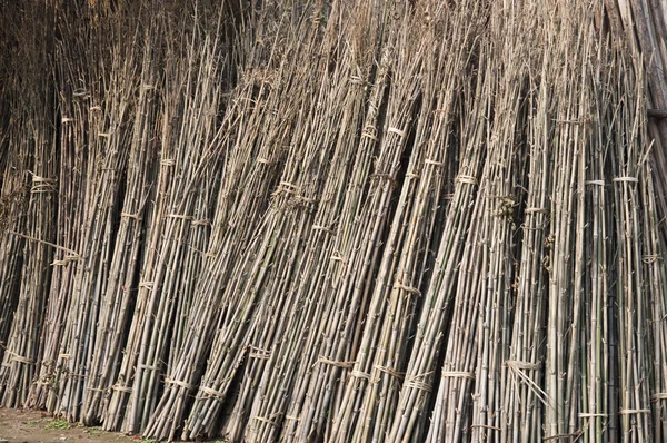 竹の材料 — ストック写真