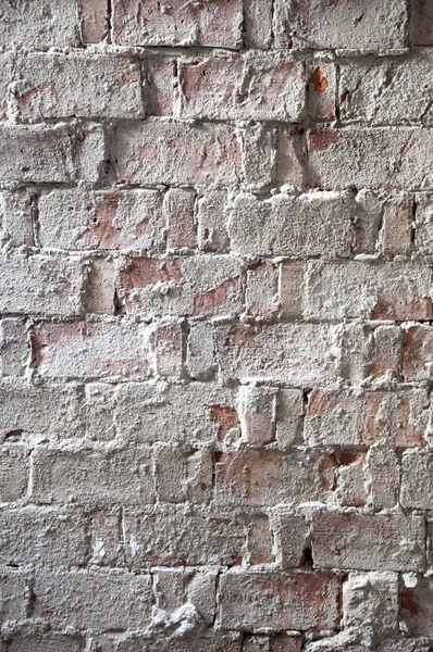 Lime brick wall — Stock Photo, Image