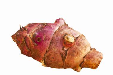 Jerusalem artichoke clipart