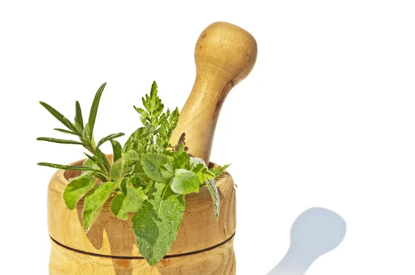 Mortar with herbs — Stock Photo, Image