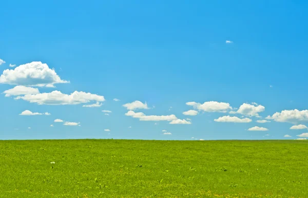 青い空と雲と緑 — Stock fotografie
