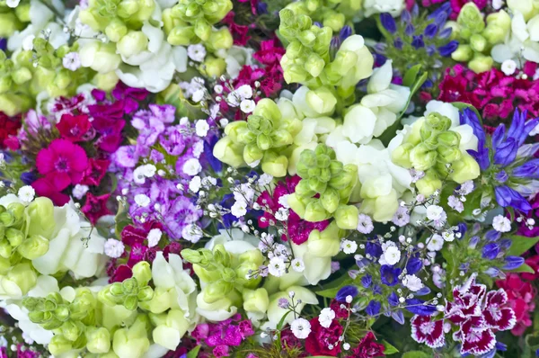Flowers at a farmer`market — Stock Photo, Image