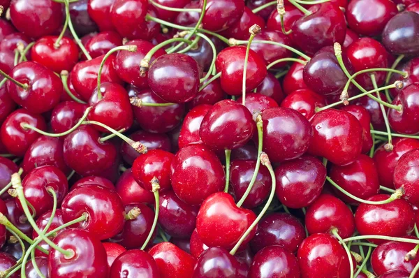 stock image Cherry