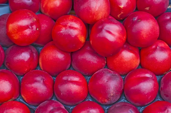 stock image Nectarine