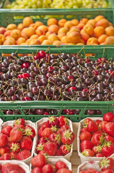 Körsbär och frukter — Stockfoto