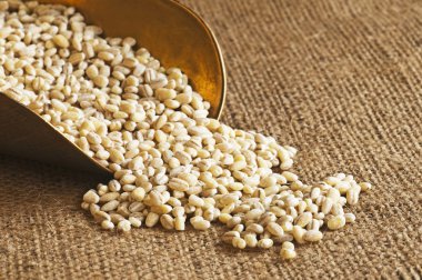 Barley pearls clipart