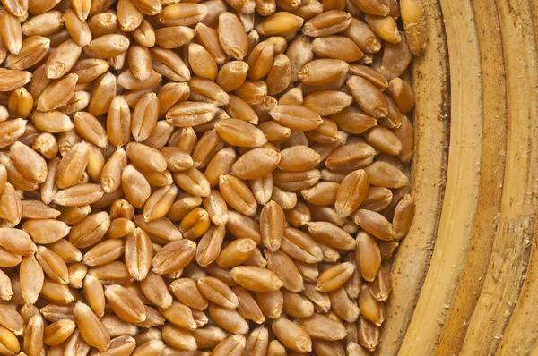 Пшеница в корзине — стоковое фото