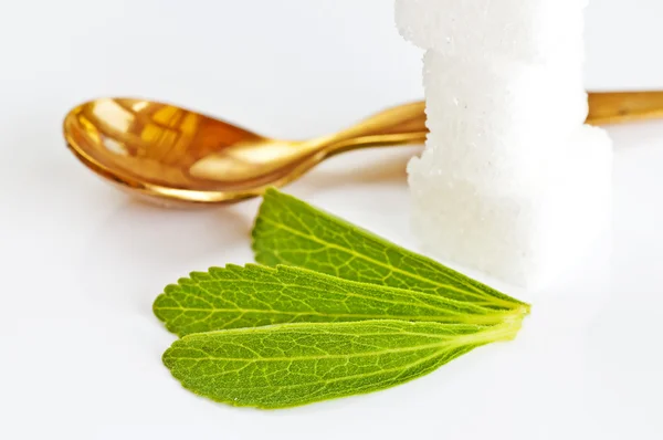 stock image Stevia rebaudiana, support for sugar