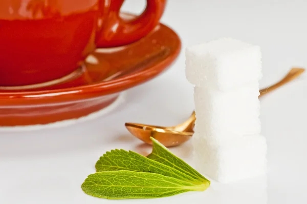 stock image Stevia rebaudiana, support for sugar