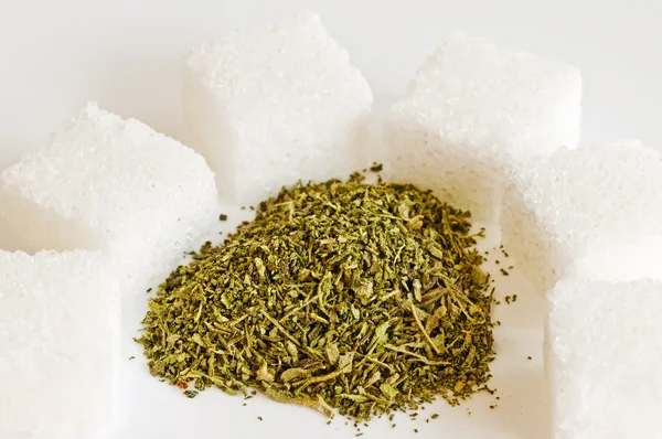 Stevia rebaudiana, Unterstützung für Zucker — Stockfoto
