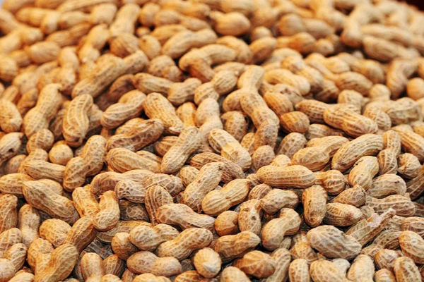 Peanut fruit. — Stock Photo, Image