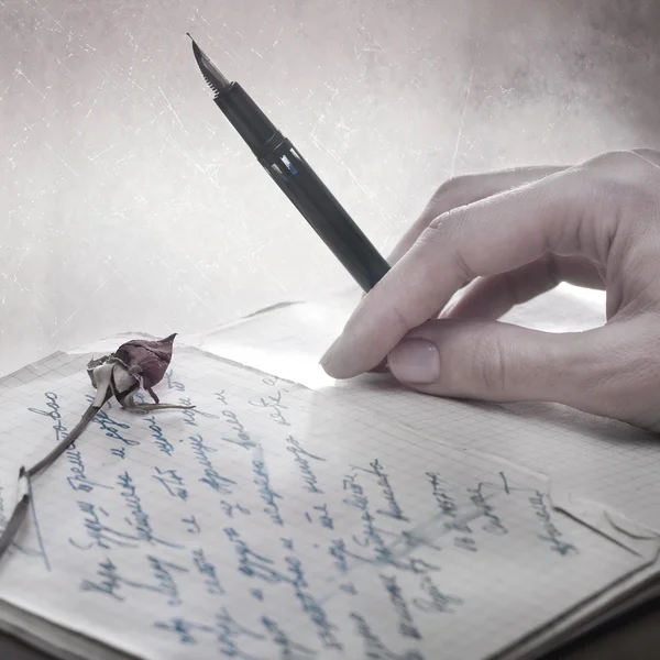 Schrijven van een liefdesbrief met een roos Stockafbeelding