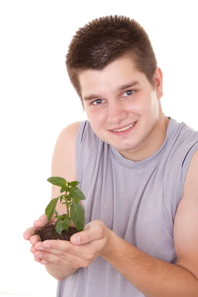 Man die een plant — Stockfoto