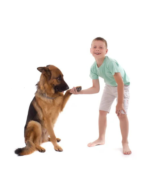 Perro y niño —  Fotos de Stock