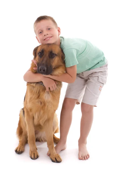 Hund und Junge — Stockfoto