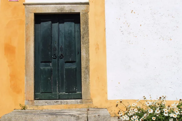 Старая, зеленая деревянная дверь — стоковое фото