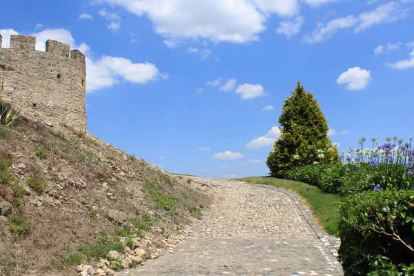 Landschaft mit mittelalterlicher Burg — Stockfoto
