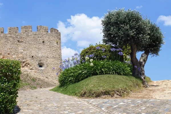Paesaggio con castello medievale — Foto Stock