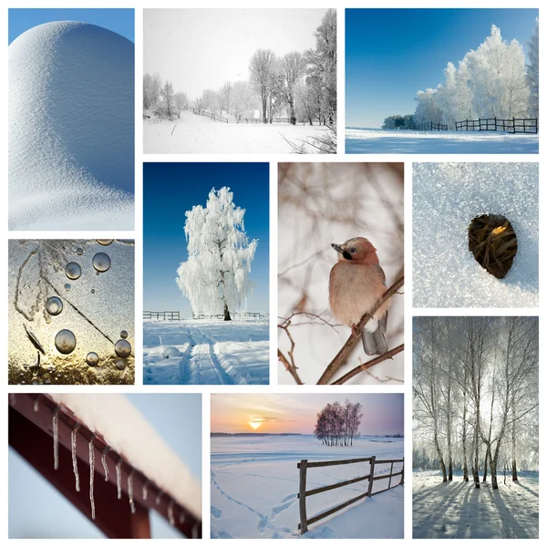 冬のコラージュ — ストック写真