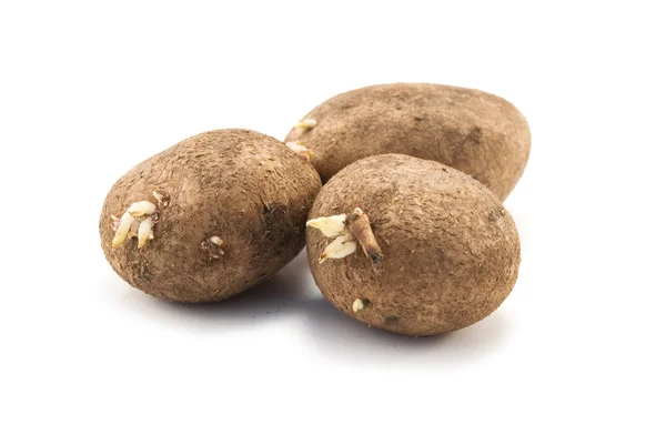 Trzy ziemniaki — Zdjęcie stockowe