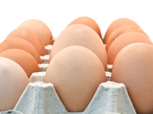 Ovos em bandeja — Fotografia de Stock