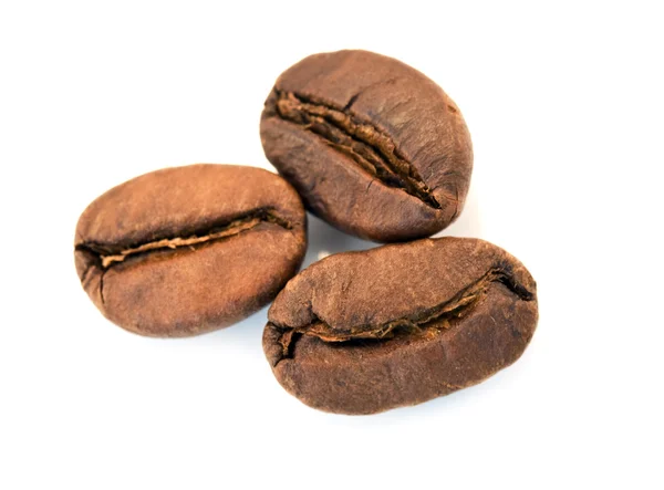 Three grains of coffee — Stock Photo, Image