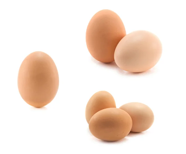 계란 분리 — 스톡 사진