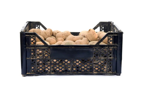 Новий урожай картоплі — стокове фото