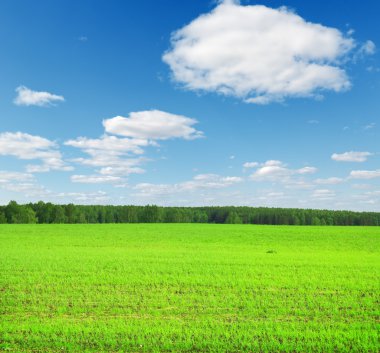 Sky and grass clipart