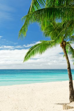 Tropical beach clipart