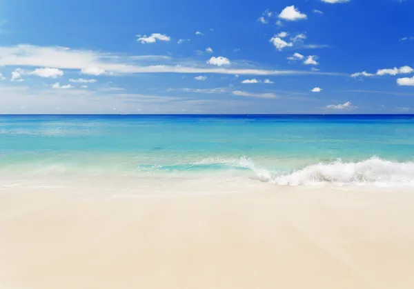 White sand beach — Stock Photo, Image