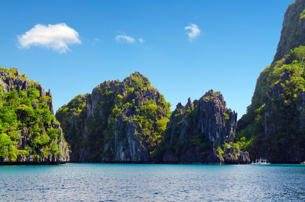 Тропическое море
