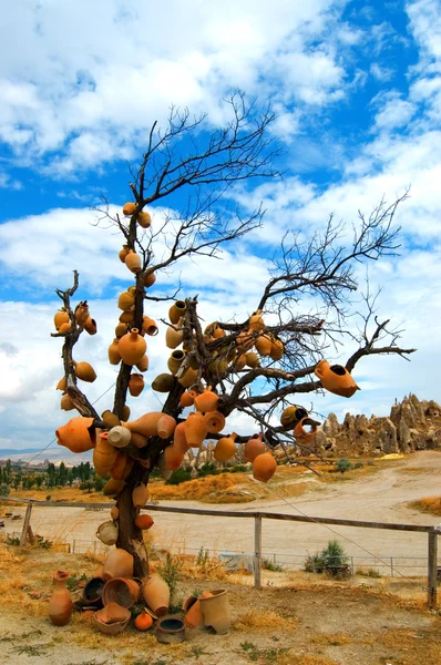 stock image Tree in cappadocia