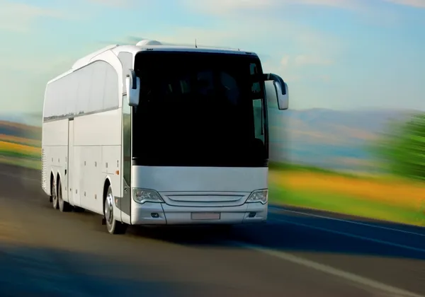 Белый автобус — стоковое фото