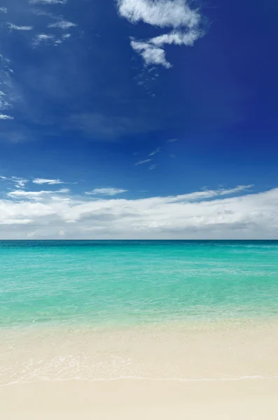 Biały piasek plaża — Zdjęcie stockowe