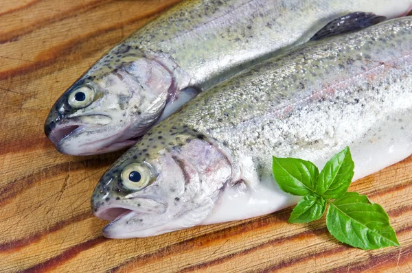 Trout — Stock Photo, Image