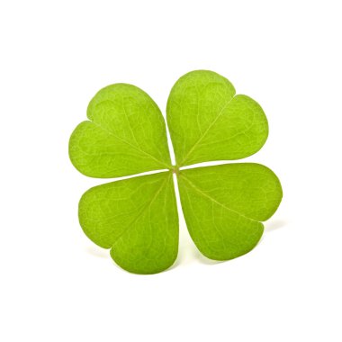 Clover clipart