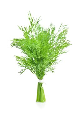 Dill clipart