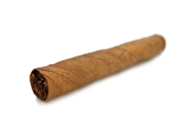 ซิการ์ — ภาพถ่ายสต็อก
