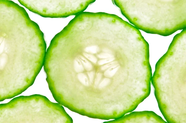 Stock image Cucumber