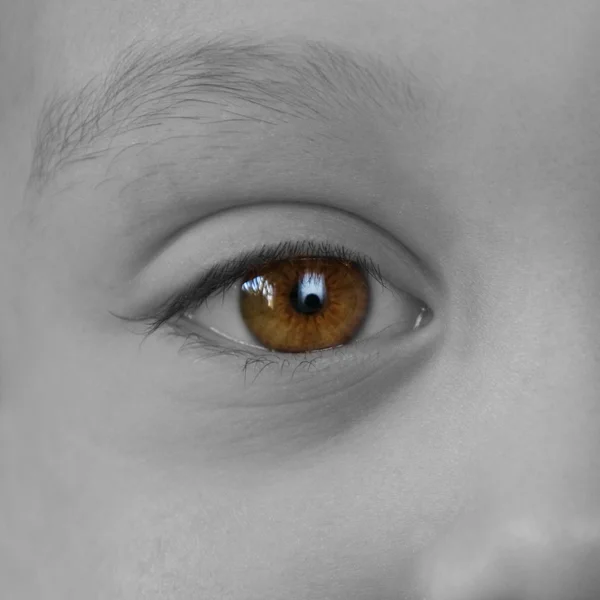 Barnets öga — Stockfoto
