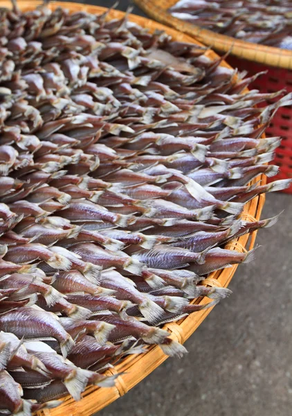 Sušených ryb — Stock fotografie