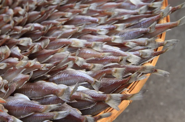 Torkade fishs — Stockfoto