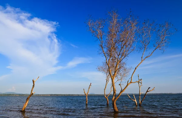 stock image Lake view