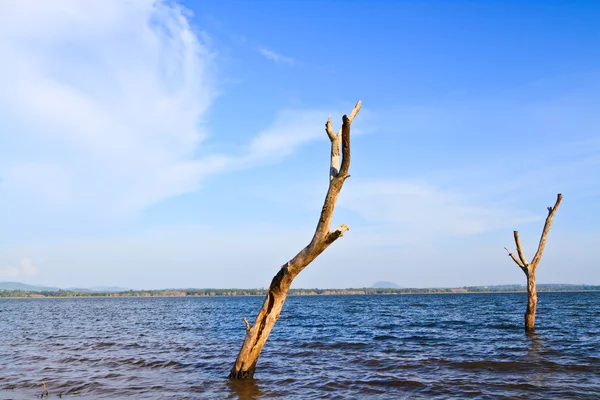 stock image Lake view