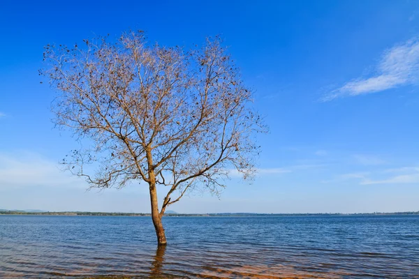 stock image Lake view