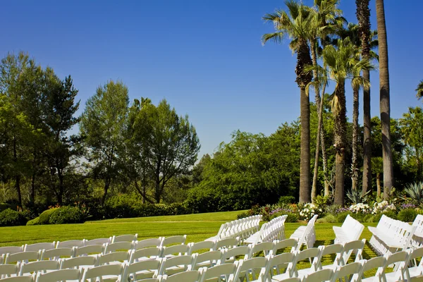 stock image Rows of Wedding Chairs