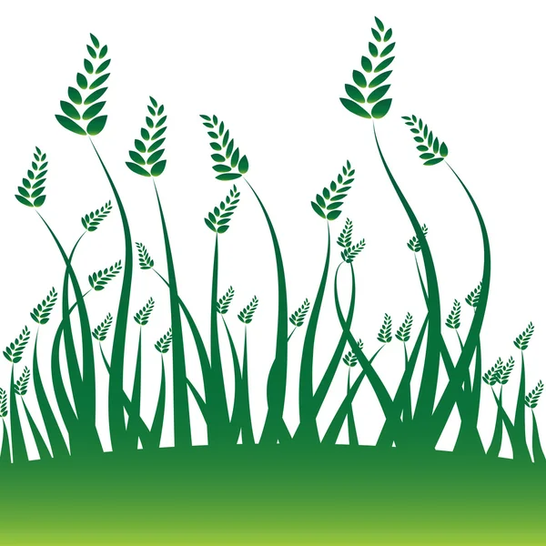 Fond grain de blé — Image vectorielle