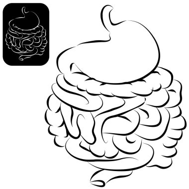 Digestive System Set clipart