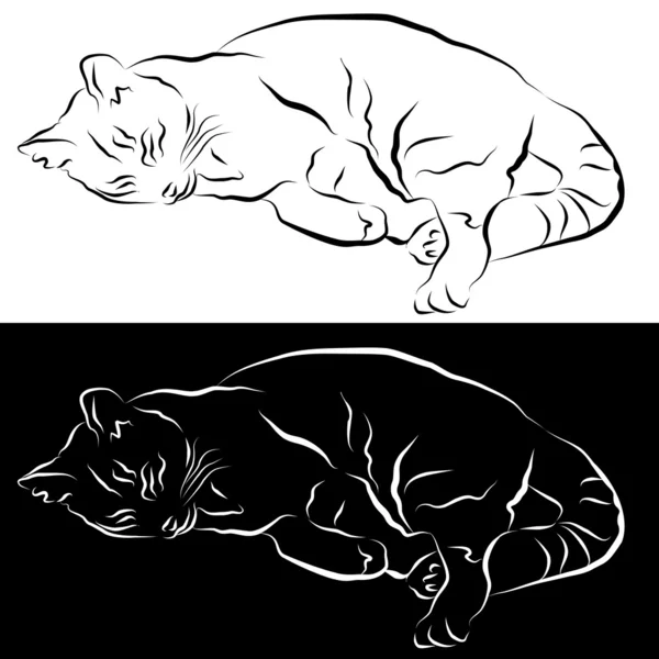 Disegno linea gatto addormentato — Vettoriale Stock
